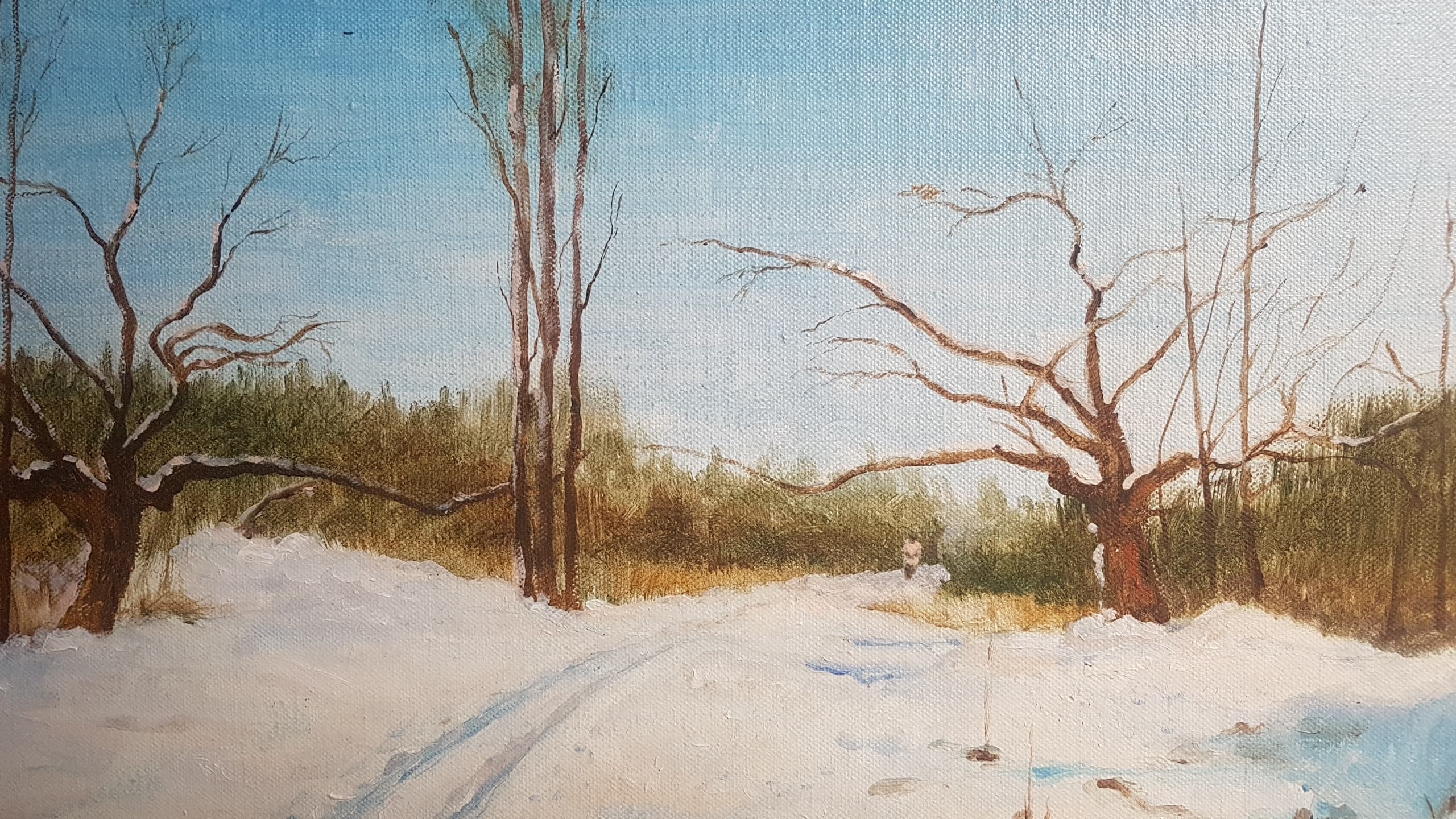 93562962_3443837685643101_37591001178570752_n