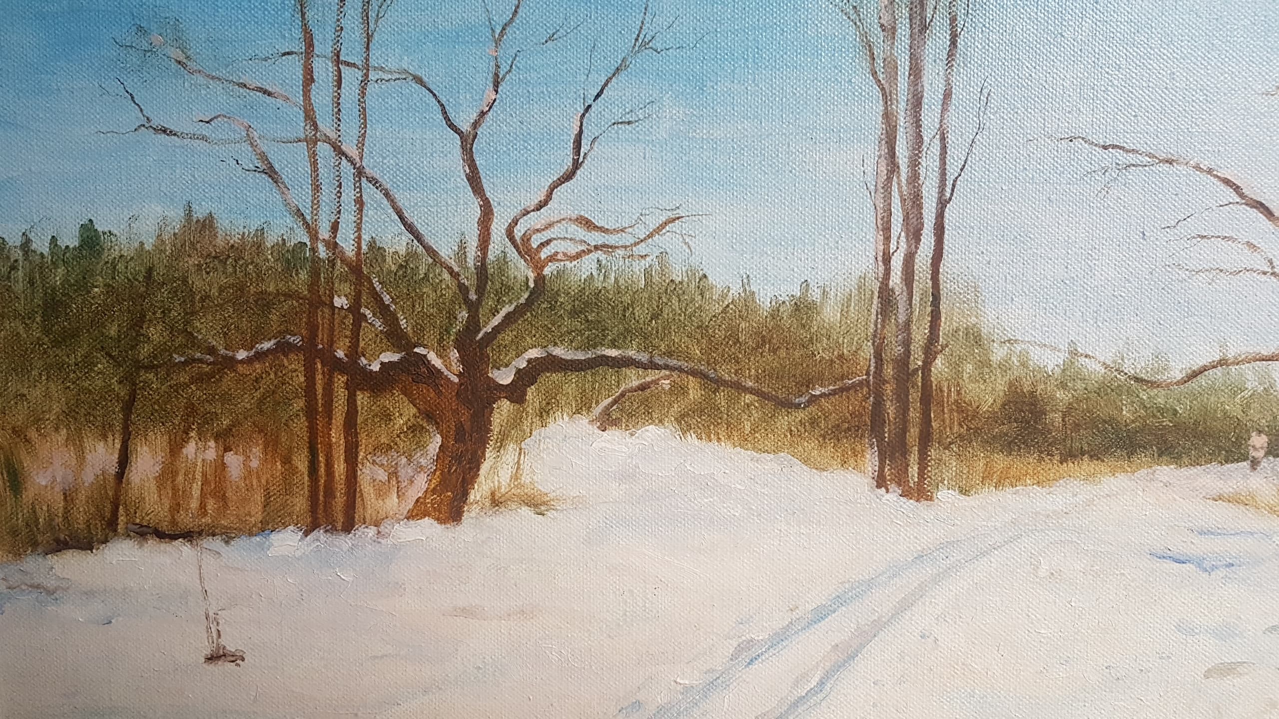 93771125_766264164182303_3372907026651807744_n